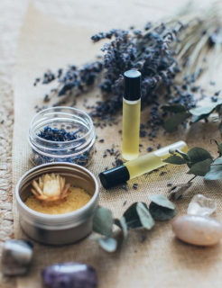 Rastilniski izvelček